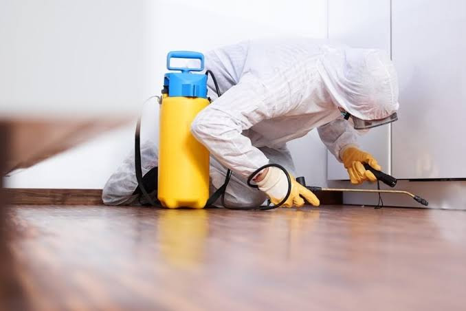 How Often Should You Do Pest Control at Home? | Pest Guard