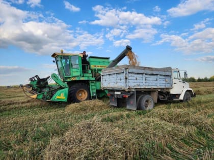 Посевные площади в 2025 году увеличатся в округе более чем на 1,7 тыс. га