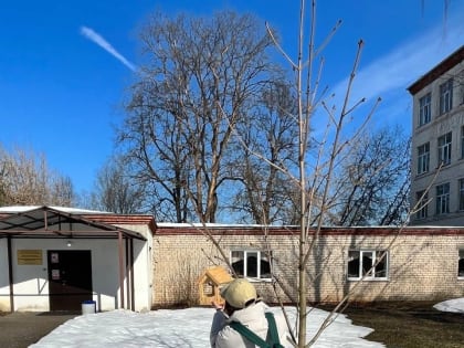 Рузские школьники продолжают заботиться о пернатых