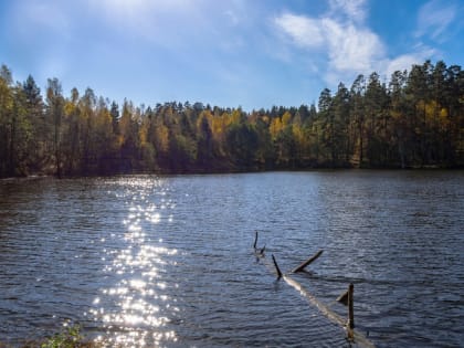Новые инициативы по улучшению городской инфраструктуры