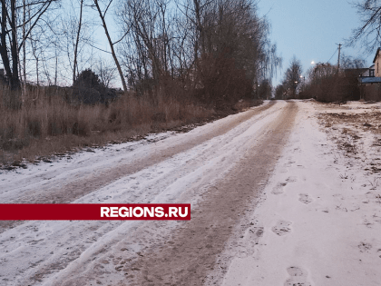 Улицу Топольную в Ступине могут заасфальтировать после депутатского запроса