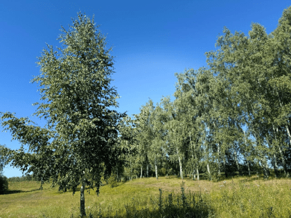 События в городе: важные изменения на горизонте