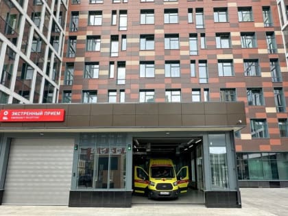 Причины появления волосяных комков и их влияние на здоровье