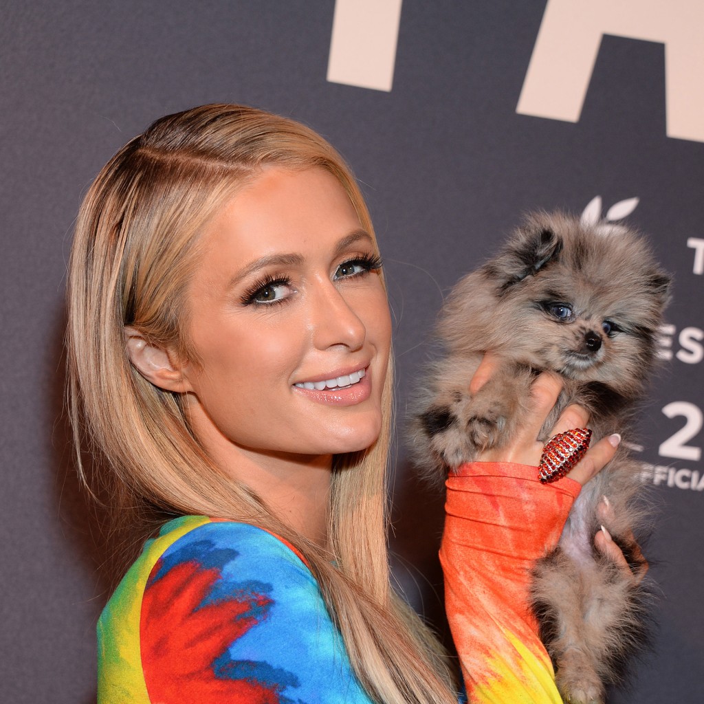 パリス・ヒルトンVIBES デッドストック品 Kate Ruber サウナスーツ パリス・ヒルトンVIBES デッドストック品 Kate Ruber サウナ