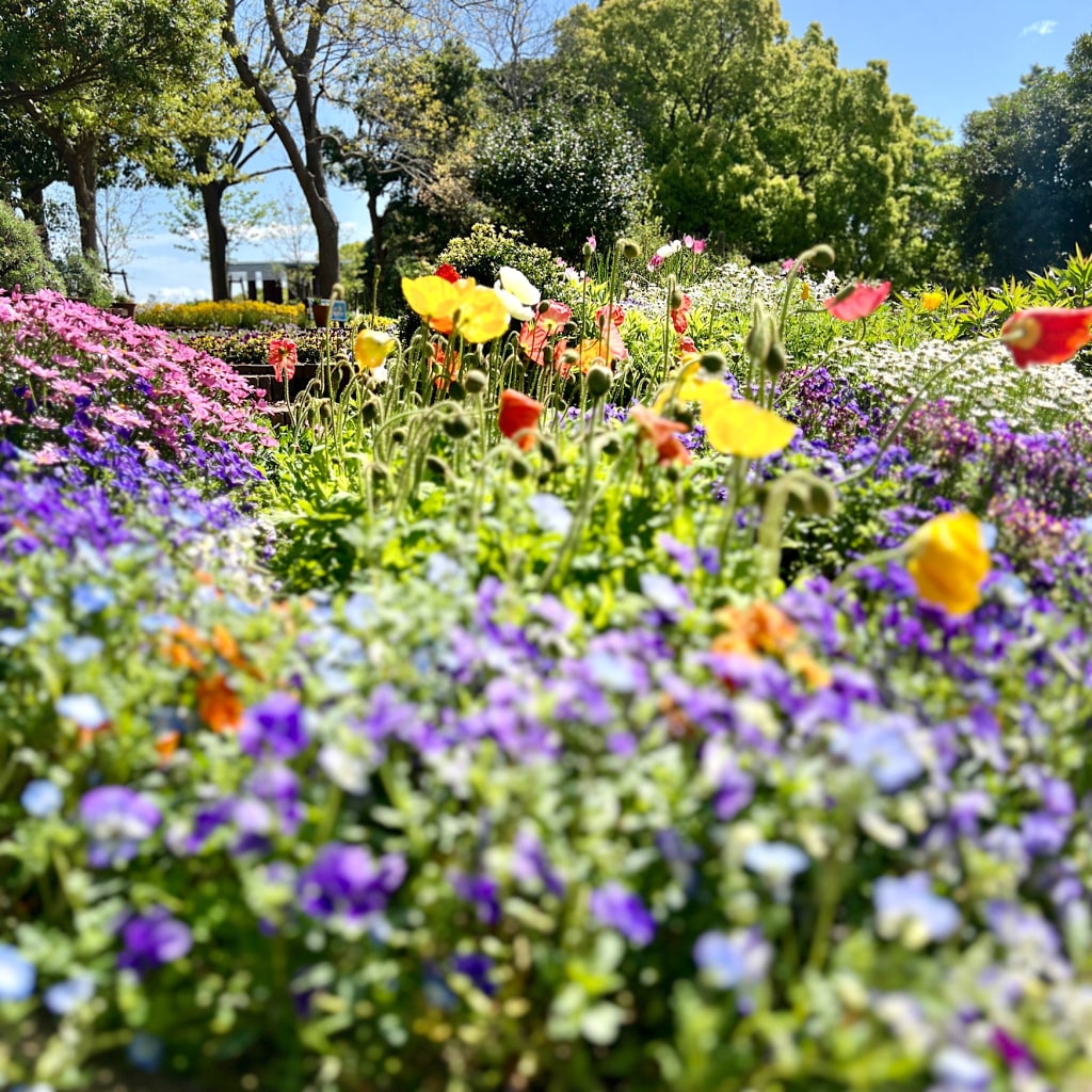印象派の世界! 「花の美術館」