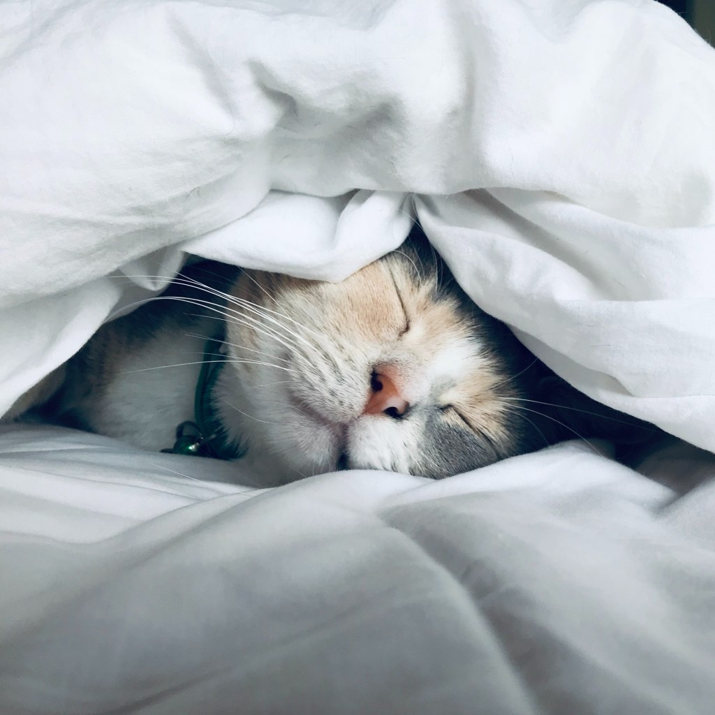 昼間眠くなることは当たり前ではない。「睡眠」を大事に!