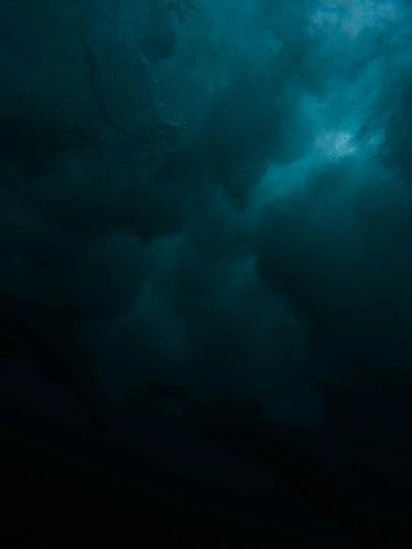 Professionellen Website vs. Baukasten