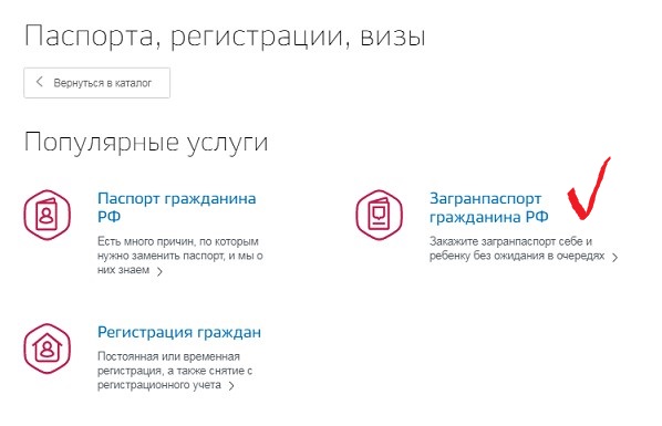 Записаться в мфц через госуслуги. Записаться на подачу паспорта. Паспорт через госуслуги МФЦ. Как через госуслуги записаться на паспорт в МФЦ. Записаться на подачу документов на загранпаспорт.