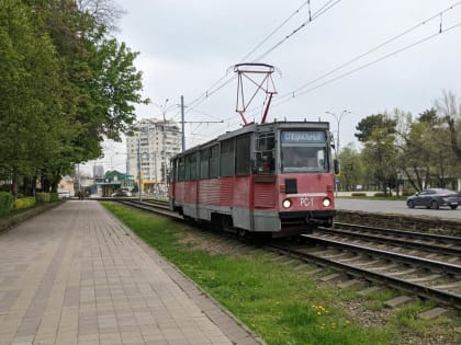 В общественном транспорте Краснодара покажут работы юных художников города