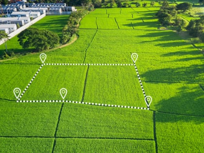 Власти Сочи вернут ценные земли в сельхозоборот