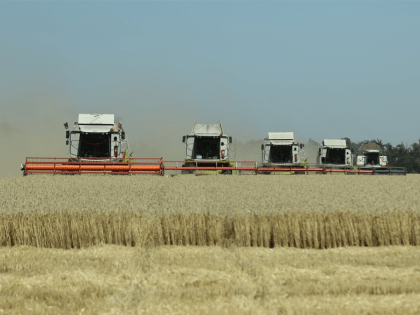 В Краснодаре по итогам 2022 года произвели больше 15 тысяч тонн мяса