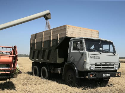 На краснодарских полях завершили уборку зерновых и зернобобовых культур