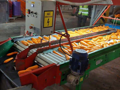 Агрохолдинг Каневского района увеличил выработку на 60% благодаря нацпроекту «Производительность труда»