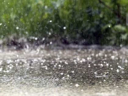 Синоптик рассказал о погоде в Сочи и Краснодаре 8 марта