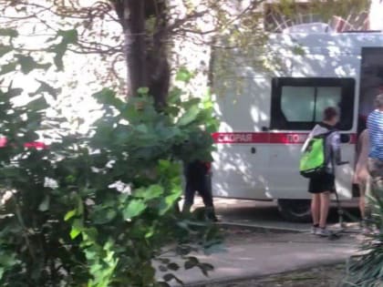 В Краснодаре в больнице скончалась воспитанница детского сада, на которую во время прогулки упало дерево