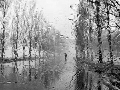 Сегодня на Кубани +12°С, местами пройдут дожди