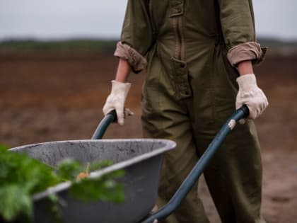 Развитие сельского хозяйства в Красноярском крае