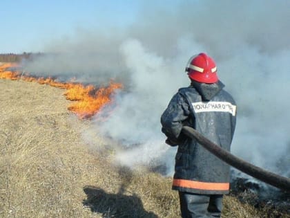 В Новороссийске за сутки четыре раза загорелась сухая трава