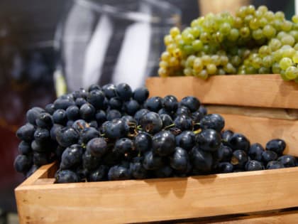 Кубанская ярмарка: традиционное сельскохозяйственное событие осени