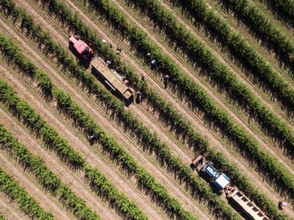 Успехи районов — стабильность региона