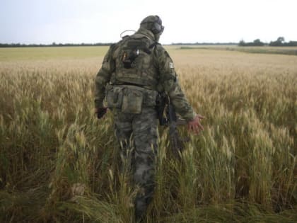 Заключившие с 1 апреля контракт участники СВО получат единовременную выплату по 100 тысяч рублей