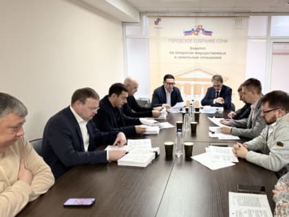 Депутаты провели заседание комитета по вопросам имущественных и земельных отношений