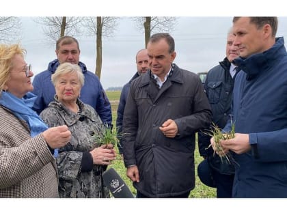 Губернатор Кубани Вениамин Кондратьев оценил состояние посевов озимой пшеницы в Каневском районе