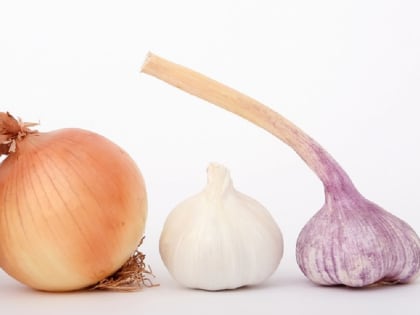 Скрытая угроза: пять групп продуктов, которые на самом деле могут лишить здоровья