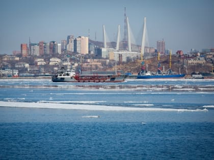 Дальневосточников предложили освободить от налогов