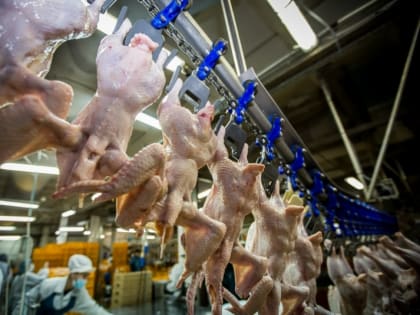 Кубанским экспортерам сельхозпродукции компенсируют затраты на транспортировку