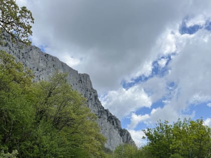 В Крыму зафиксировали падение турпотока в июне на 40% год к году