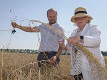 Родниковцы землю в обиду не дадут!