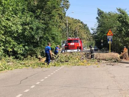 Жителей Краснодара просят соблюдать правила поведения при сильном ветре