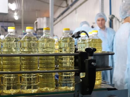 Участник нацпроекта «Производительность труда» поделился опытом внедрения бережливых технологий с предприятиями Тимашевска