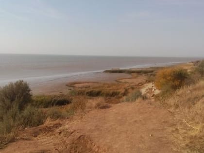 ​Плесневые грибы и человеческое воздействие: загрязнения стремительно снижают плодородность почвы вдоль Таганрогского залива