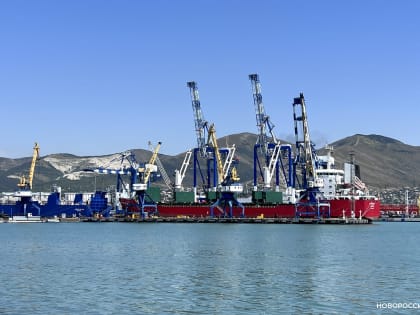 На линии Новороссийск — Индия добавится еще один контейнеровоз