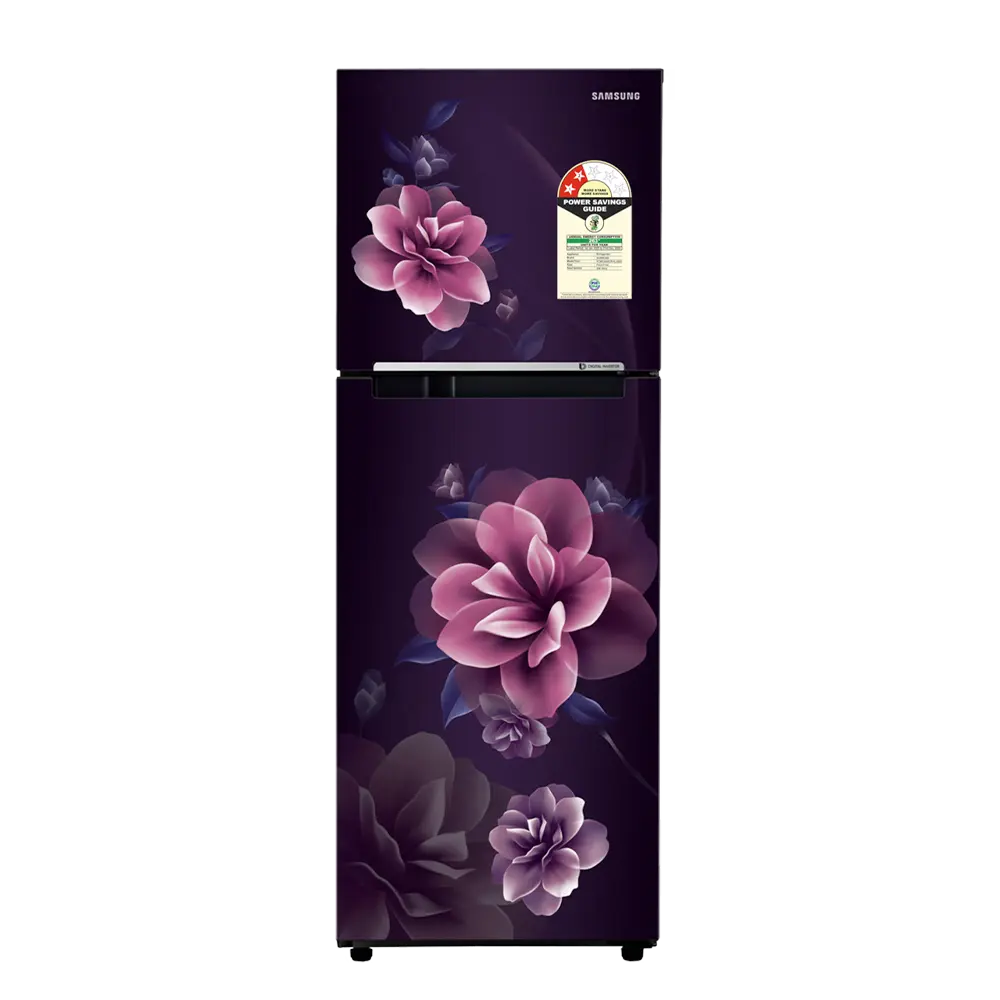 Samsung 236L Double Door Refrigerator | RT28C3022CR - Price in Nepal
