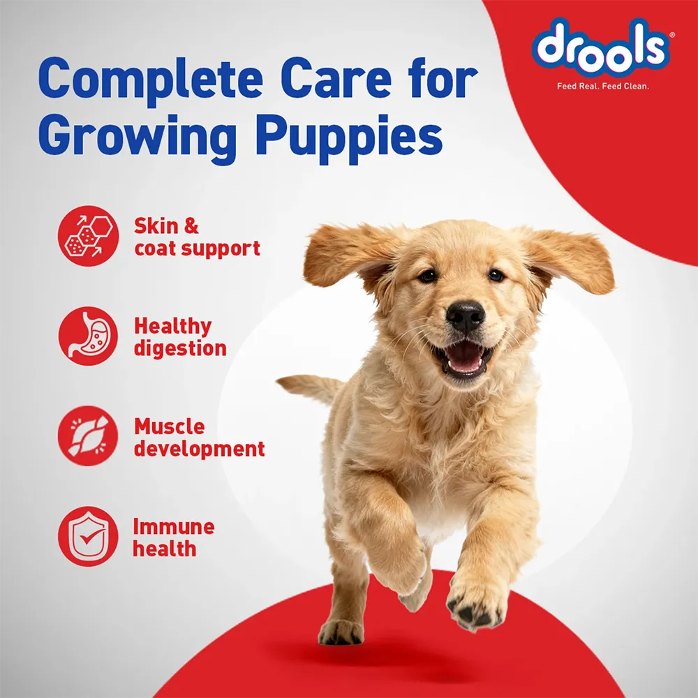drools-puppy-dry-dog-food-1.2kg-nepal-6