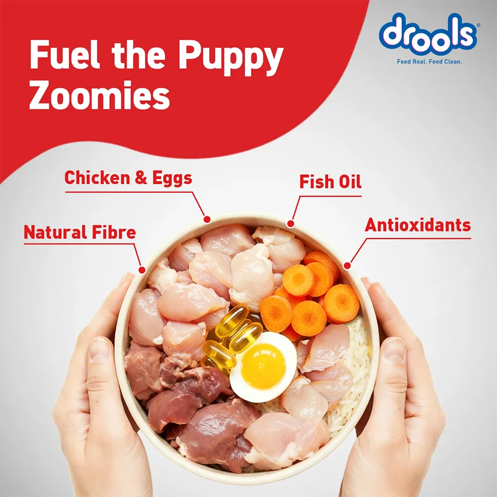 drools-puppy-dry-dog-food-1.2kg-nepal-4
