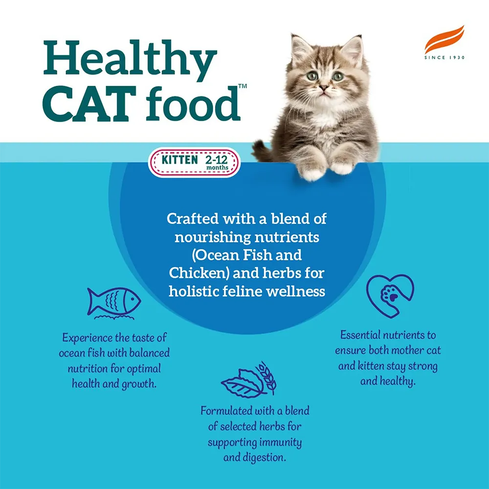 himalayan-cat-kitten-food-nepal-2