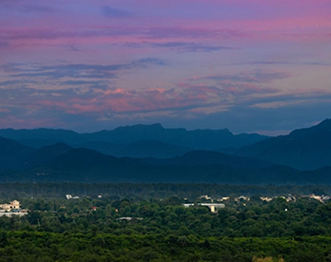 evening View