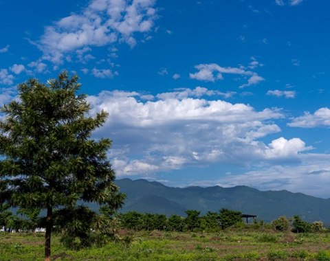 mid day view