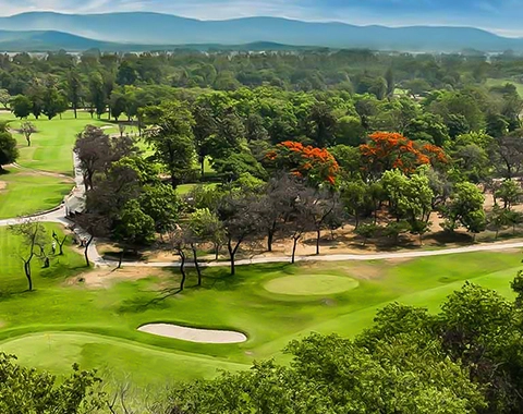 Golfe Area
