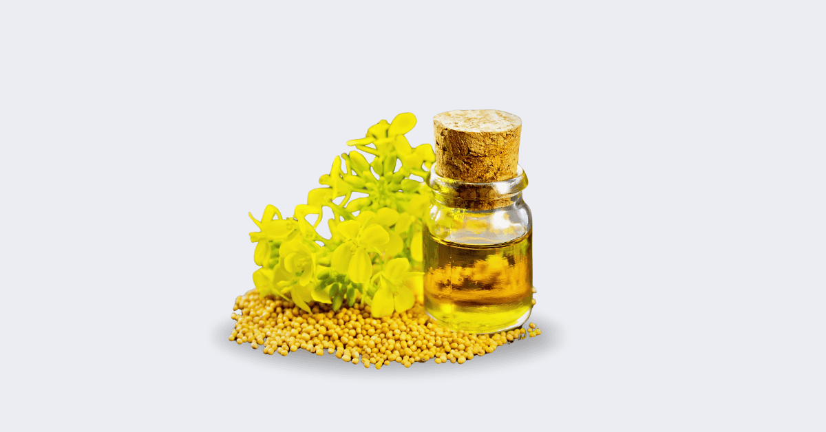Authentic photo of mustard oil and seeds
