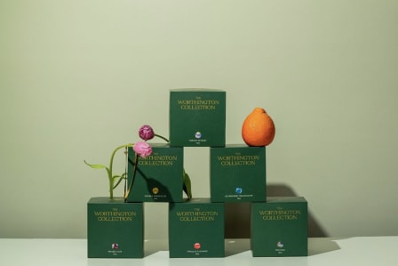 Thumbnail for Divine Packaging Design