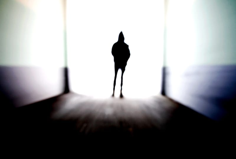 Gallery image #3