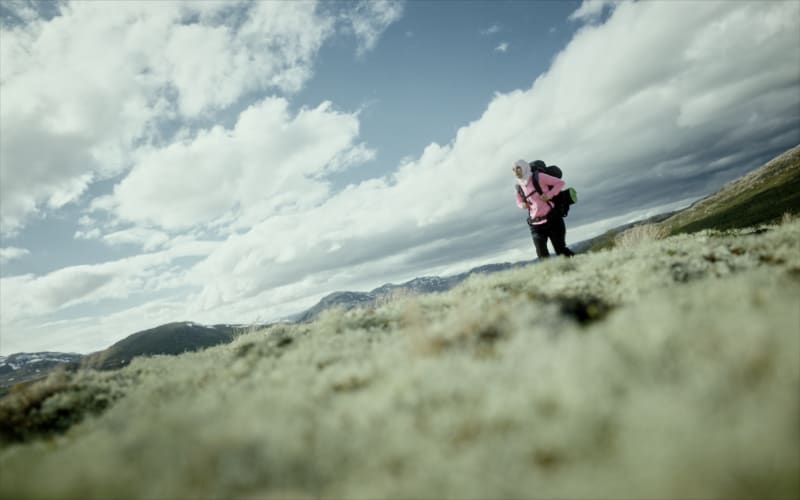 Gallery image #4