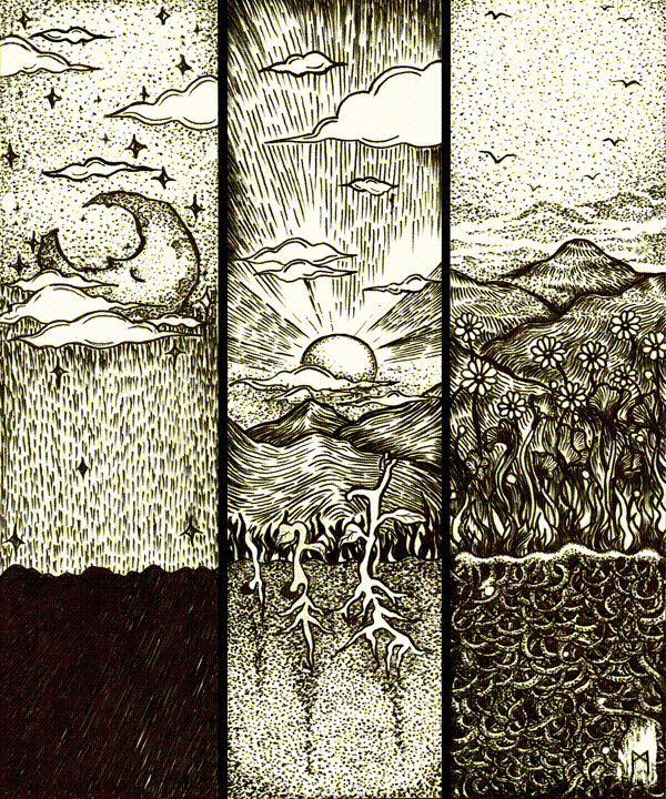 Gallery image #1