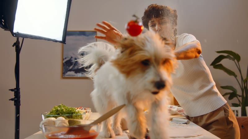 Gallery image #2