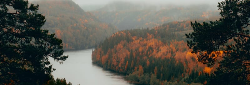 Gallery image #6